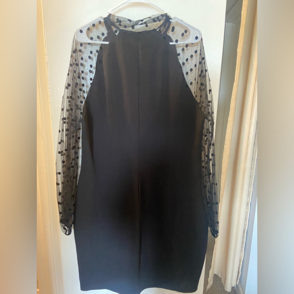 Plus Tie Neck Dobby Mesh Raglan Sleeve Dress